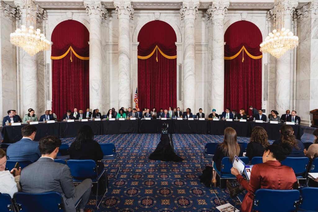 A picture of a U.S. Senate panel with Senator Schumer sitting in the middle and witnesses seated at the long table.